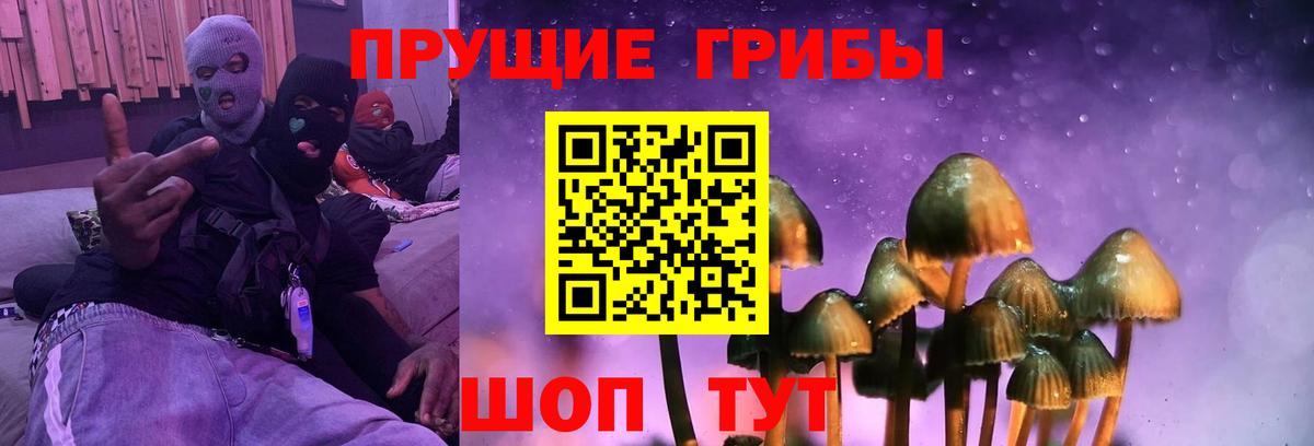 Псилоцибиновые грибы Psilocybine cubensis  даркнет сайт  Киселёвск  Вход с VPN 