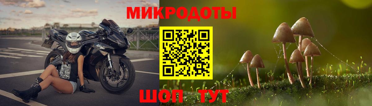 Псилоцибиновые грибы GOLDEN TEACHER Киселёвск